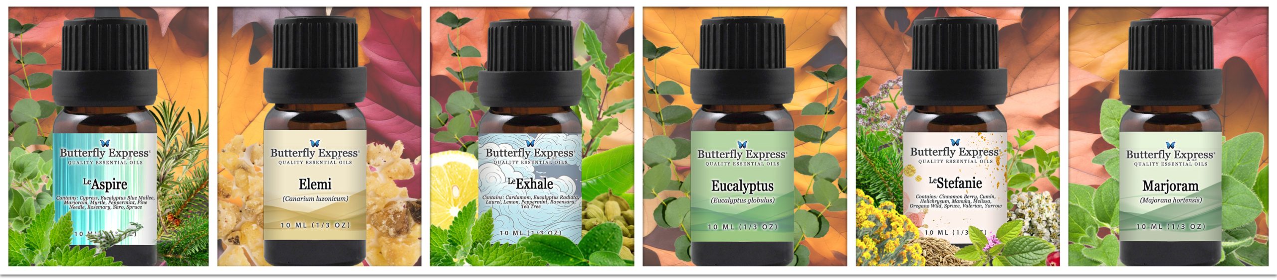 November 6 Oil Special for Respiratory Health