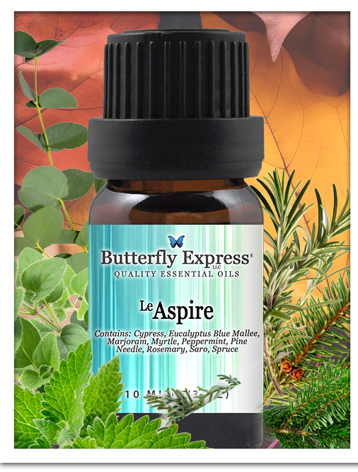 Aspire Essential Oil Blend