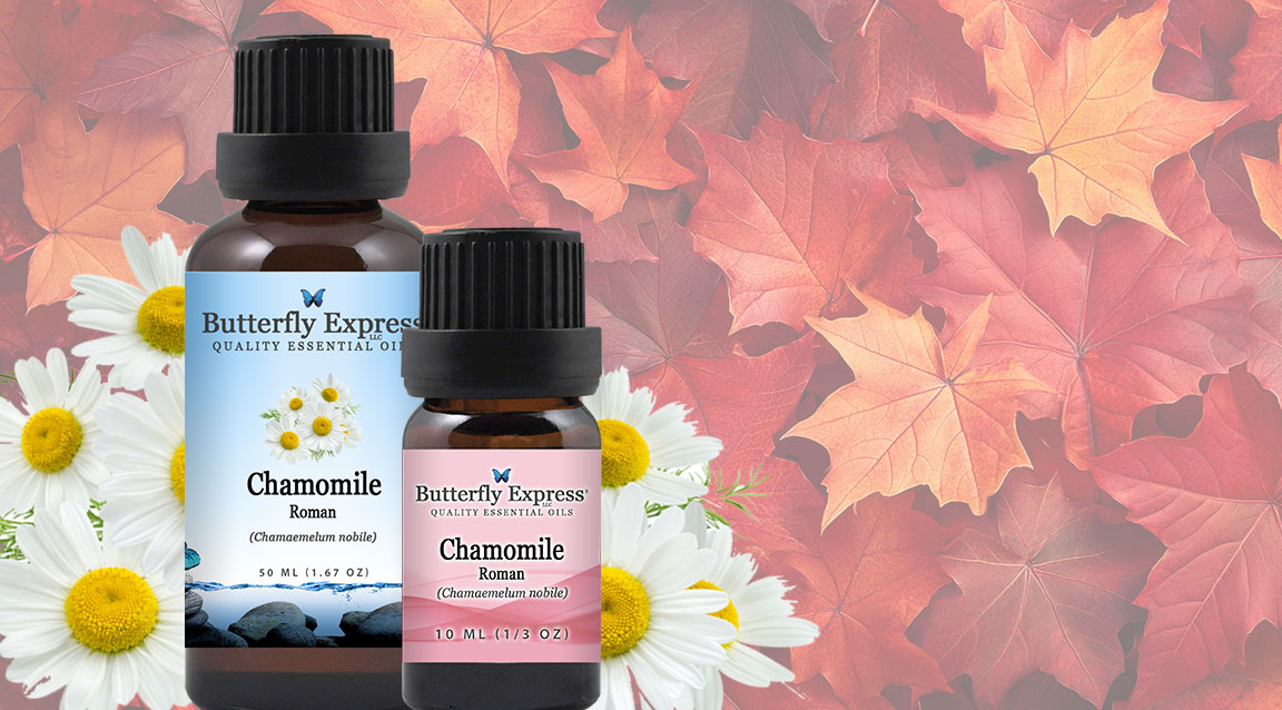Chamomile Essential Oils
