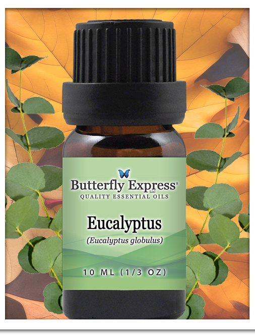 Eucalyptus Essential Oil