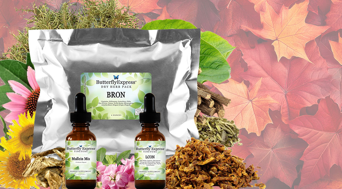 Featured Herbs for Respiratory Health