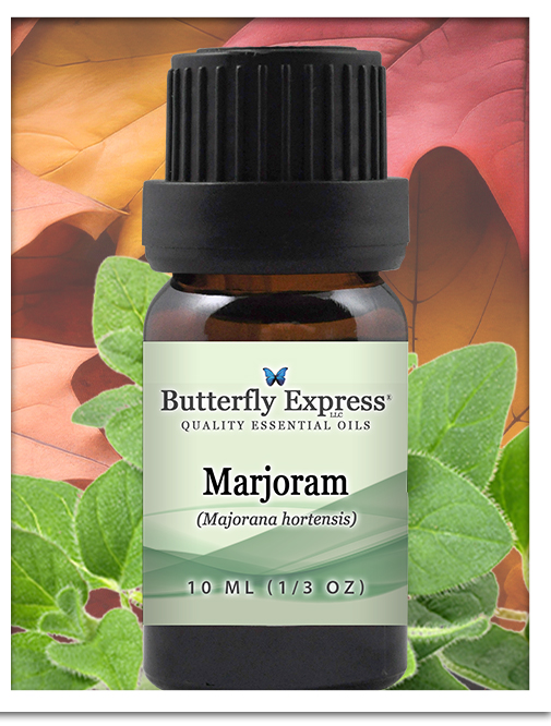 Marjoram Essential Oil 