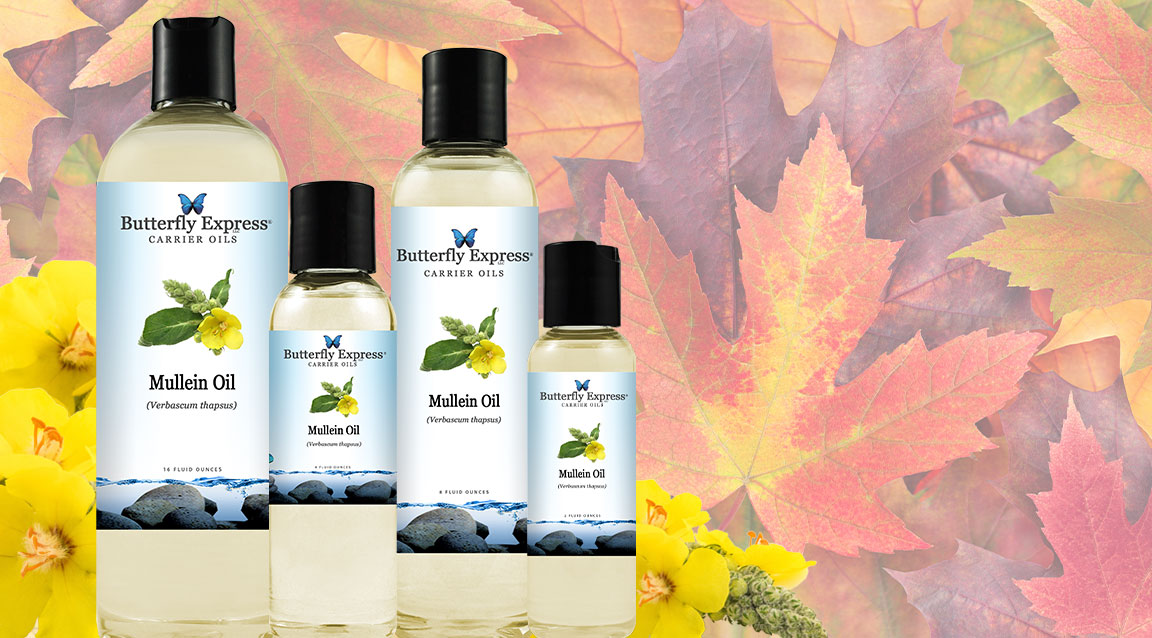 Mullein Carrier Oil
